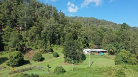 Rural / Farming commercial property for sale at 664 Horseshoe Creek Rd Kyogle NSW 2474