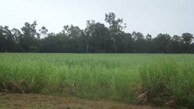 Rural / Farming commercial property for sale at Mount Pelion QLD 4741