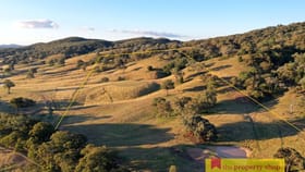 Rural / Farming commercial property for sale at 70 Gibsons Lane Mudgee NSW 2850