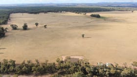 Rural / Farming commercial property for sale at 640 Thanowring Road, (Pucawan) Temora NSW 2666