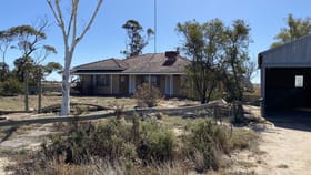 Rural / Farming commercial property for sale at 957 Booralaming West Rd Manmanning WA 6465
