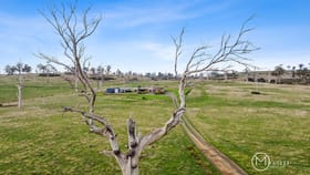 Rural / Farming commercial property for sale at 443 Norwich Drive Longford TAS 7301