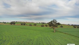 Rural / Farming commercial property for sale at 'Eden Hope Delungra Bypass Road Delungra NSW 2403