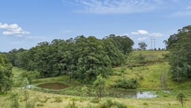 Rural / Farming commercial property for sale at Lot 511 Anembo Lane Temagog NSW 2440