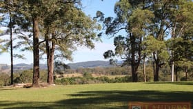 Rural / Farming commercial property for sale at 1024 Cedar Party Road Cedar Party NSW 2429