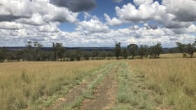 Rural / Farming commercial property for sale at " Burundah Mountain Warialda NSW 2402