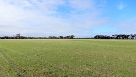 Rural / Farming commercial property for sale at Lot 2 Martin Camp Road Keith SA 5267