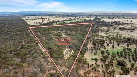 Rural / Farming commercial property for sale at Morrl Morrl Forest Road Wallaloo East VIC 3387