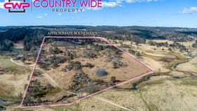 Rural / Farming commercial property for sale at 241 Coopers Road Red Range NSW 2370