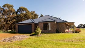 Rural / Farming commercial property for sale at 44 Matthews Road Denmark WA 6333