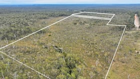 Rural / Farming commercial property for sale at 249 Florda Red Drive Wells Crossing NSW 2460