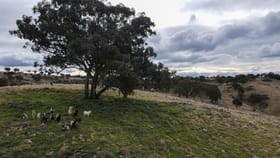 Rural / Farming commercial property for sale at Fairview, Hill End Road Hill End NSW 2850