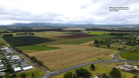 Rural / Farming commercial property for sale at 43 Tinaroo Falls Dam Road Atherton QLD 4883