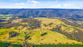 Rural / Farming commercial property for sale at 251 Sheepstation Forest Road Gingkin NSW 2787