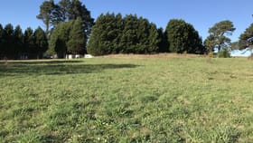 Rural / Farming commercial property for lease at 3/9 McCourt Road Moss Vale NSW 2577
