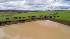 Rural / Farming commercial property for sale at 241 Hillcrest Road Taralga NSW 2580