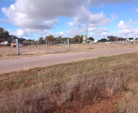 Development / Land commercial property leased at Section 427 Wake Road Cleve SA 5640