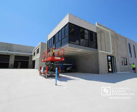 Showrooms / Bulky Goods commercial property leased at Arundel QLD 4214