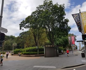 Offices commercial property leased at 60 Park Street Sydney NSW 2000