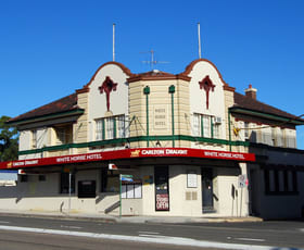 Hotel, Motel, Pub & Leisure commercial property leased at 161 Princes Highway St Peters NSW 2044