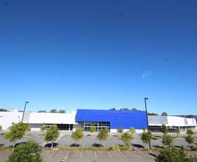 Showrooms / Bulky Goods commercial property leased at 33 Hinkler Drive Nerang QLD 4211