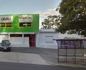 Showrooms / Bulky Goods commercial property leased at 242-244 Lord Street Perth WA 6000