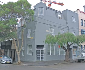 Showrooms / Bulky Goods commercial property leased at Level 1/50 Buckingham Street Surry Hills NSW 2010