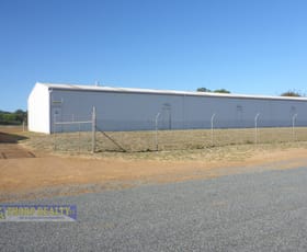 Factory, Warehouse & Industrial commercial property leased at Shed 3 / Lot 2 Bandy Creek Road Bandy Creek WA 6450