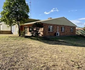 Factory, Warehouse & Industrial commercial property leased at 22 Mullaley Rd Gunnedah NSW 2380