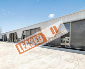 Showrooms / Bulky Goods commercial property leased at Unit 46/50 - 62a Cosgrove Road Strathfield South NSW 2136