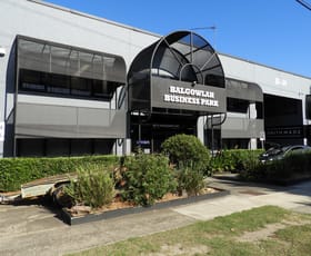 Offices commercial property leased at Balgowlah NSW 2093