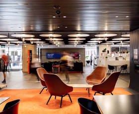 Offices commercial property for lease at Town Hall House 456 Kent Street Sydney NSW 2000