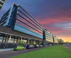Offices commercial property leased at Level 3, 18 Honeysuckle Drive Newcastle NSW 2300
