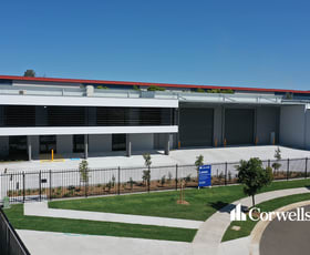 Showrooms / Bulky Goods commercial property leased at 9 Andys Court Upper Coomera QLD 4209