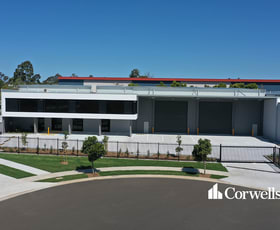 Offices commercial property leased at 9 Andys Court Upper Coomera QLD 4209