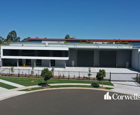 Showrooms / Bulky Goods commercial property leased at 9 Andys Court Upper Coomera QLD 4209