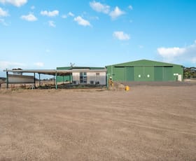 Other commercial property leased at Shed/179 Black Jack Road Gunnedah NSW 2380