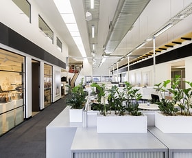 Factory, Warehouse & Industrial commercial property for lease at 58 Victoria Street Mcmahons Point NSW 2060