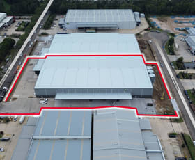 Factory, Warehouse & Industrial commercial property for lease at 9 & 11 Dunn Road Smeaton Grange NSW 2567