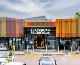 Showrooms / Bulky Goods commercial property for lease at 93 Whitehorse Road Blackburn VIC 3130
