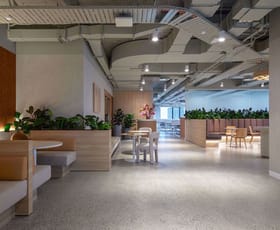 Offices commercial property for lease at 477 Pitt Street Sydney NSW 2000
