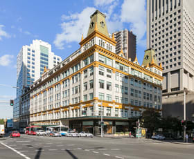 Medical / Consulting commercial property for lease at Elizabeth Street Sydney NSW 2000