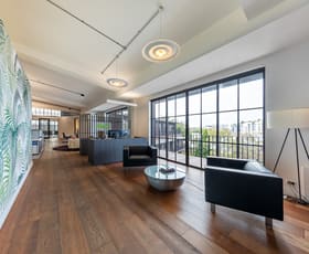 Medical / Consulting commercial property for lease at 3.1/15-21 Doody St Alexandria NSW 2015