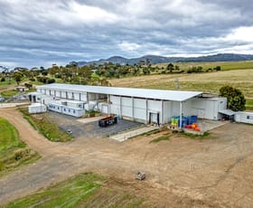 Factory, Warehouse & Industrial commercial property for lease at 121 Backhouse Lane Cambridge TAS 7170