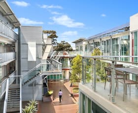 Offices commercial property leased at 204/117 Old Pittwater Road Brookvale NSW 2100