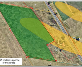 Rural / Farming commercial property for lease at Lot/Multiple Lots New England Highway Singleton NSW 2330