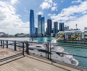 Offices commercial property for lease at Suite 27/26-32 Pirrama Road Pyrmont NSW 2009