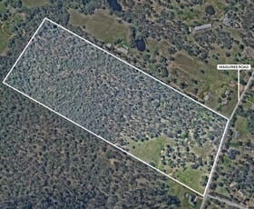 Rural / Farming commercial property for lease at Land/250-260 Maguires Road Maraylya NSW 2765