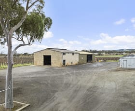 Shop & Retail commercial property sold at 133 Acland Street St Kilda VIC 3182