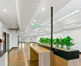 Offices commercial property for lease at 67-69 Regent Street Chippendale NSW 2008